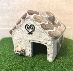 爬虫類　シェルター　ブラウン