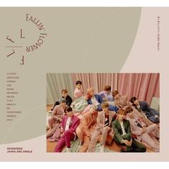 seventeen 舞い落ちる花びら 初回限定盤B アルバム CD フォトブック