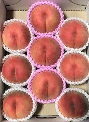 秋田県産　川中島白桃　家庭用　約3kg