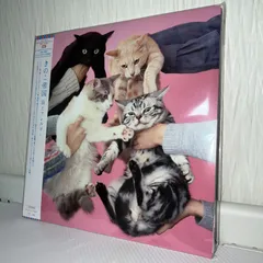 きのこ帝国 レコード 3点セット＋クリアファイル 猫とアレルギー」「愛のゆくえ」「タイム・ラプス」 きのこ帝国3