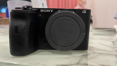 Sony ソニー α6600 ボディ ブラック
