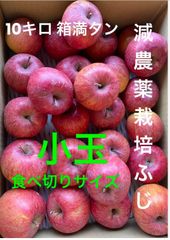減農薬栽培山形県東根市産　小玉りんご食べ切りサイズ10k箱満タン段のみバラ摘み