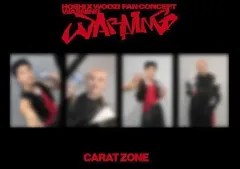 ほしうじ CARAT ZONE カラットゾーン トレカ 未開封