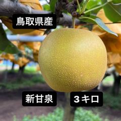 ⚠️Luke Garden⚠️茨城県産　梨/凛夏 フリーサイズ　数量限定！ ⚠️Luke Garden様専用⚠️茨城県産 梨/凛夏 フリーサイズ 数量限定