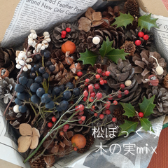 松ぼっくり 木の実 ドライフラワー いろいろ 詰め合わせ ハンドメイド 工作 材料 リース クリスマス ツリー 02