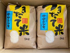 福岡県産 元気つくし5kg×2袋 白米 真空パック つきたて【超メルカリ市 
