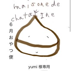 yumi様専用 おやつ便 シフォンケーキサンド チーズケーキ