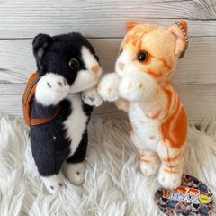 따끈따끈 ZOO 냥코 미니 봉제인형 2점 세트 고양이