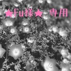 Fu様専用＊カボション4セット