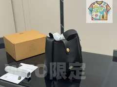 【今日WTO】Coach コーチ ハドリー アンダーアーム トートバッグ シリーズ コンパクトで多様な携帯方式の特徴-WTO輸入2-DEB17