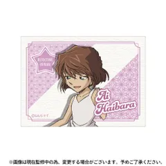 【新品・公式】名探偵コナン キャンバスボードミニ 灰原哀 vol.6 公式グッズ colleize コレイズ