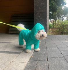 あつし 様@KC GS 1L x 2 - メルカリ 