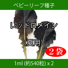 ベビーリーフ種子 B-07 レッドロメイン（夏用） 1ml 約540粒 x 2袋