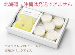 マスクメロンのピューレと高知のバニラアイス