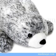 アザラシ ぬいぐるみ 海の生き物 キュート販売 CUTE ゴマフアザラシ L 46cm