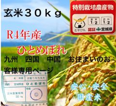 ４年　宮城県産　ひとめぼれ　1等米　環境保全米　玄米　３０ｋｇ　お米