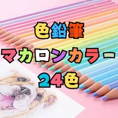 色鉛筆 パステルカラー マカロンカラー 24色 塗り絵 カラフル お絵描き 油性
