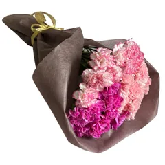 カーネーションの花束 24本 ピンクミックス 母の日期間配送 お届け日5月6日?5月11日 ct73513のサムネイル
