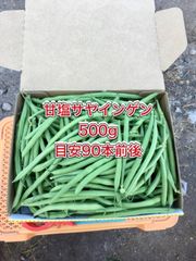 【鹿児島産】甘塩サヤインゲン箱込み500g^_^
