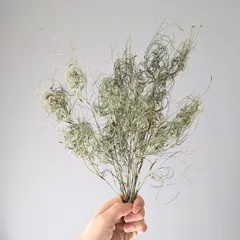 おまとめ⭐︎swag #246 森の香り green&natural ネイティブ おまとめ⭐︎swag #246 森の香り green&natural ネイティブ