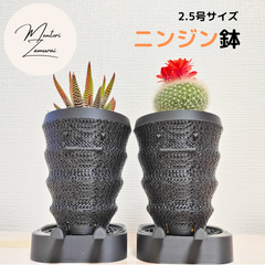 【ニンジン鉢+外皿+内皿 計6点セット】ジャイロイド 植木鉢 作家鉢 鉢皿 受け皿 プレート 黒 2.5号 多肉植物 アガベ ハオルチア サボテン