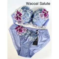 新作サルート 17グループ　未使用品 WACOAL ワコール サルート 17グループ BTJ717 Wacoal salute 17G