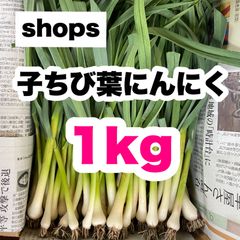【農家直送】高知県特産‼️葉ニンニク 1kg 即購入OK grkb