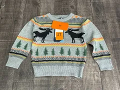 新品タグ付き ANDY&EVAN セーター 子供 セーター 幼児 2T 約90cmサイズ 1617835  /55057在★18のサムネイル