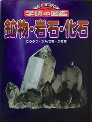 化石、鑑賞石　 7個 化石・鉱物・隕石販売の化石セブン (@kaseki7) / X