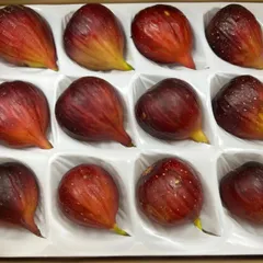 ２箱セット　贈答箱入り SDGs米糠堆肥で作る　樹上完熟イチジク　秀品12個入り　700g以上