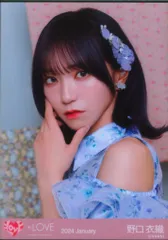 ＝LOVE 2024年1月ランダム生写真 野口衣織 2024 January(6周年コンサート衣装) ヨリ