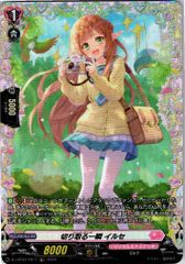 店頭買取品】カードファイト‼︎ヴァンガード,サプライ