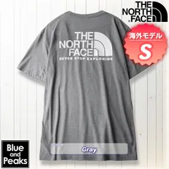 THE NORTH FACE 半袖Tシャツ Throwback Tee, カラー；Gray, サイズ；S