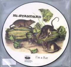 2025年最新】hi-standard epの人気アイテム - メルカリ