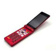 SoftBank かんたん携帯10 ピンク 807SH らくらく 白ロム ソフトバンク ガラホ
