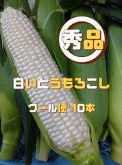 秀品 白とうもろこし 10本 クール便