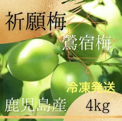 鶯宿 青梅 大中小混合 8kg 無農薬 岡山県産 農家直送 2025年最新】鶯宿梅の人気アイテム - メルカリ