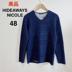 HIDEAWAYS NICOLE ハイダウェイニコル ゼブラ風ブリスタージャカードVネックプルオーバー アニマル柄 Vネック プルオーバー 長袖 フクレジャカード ネイビー 48 Lのサムネイル
