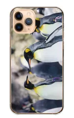 iPhone 17 Pro ケース カバー アイフォン17プロ スマホケース ハードケース ペンギン 王様ペンギン オウサマペンギン コウテイ 動物 アニマル 写真 可愛い かわいい ブルー  カラー02