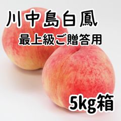 ８月上旬出荷予定　川中島白鳳　5ｋｇ（１３玉前後）　最上級　ご贈答用