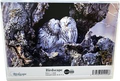 ☆最終値下げ☆送料無料☆カレンダー2025年版　BIRDSCAPE～野鳥のいる風景  卓上　1冊