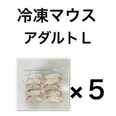 2021高い素材 新品、未使用 【じゃり様専用】マウスピンクS10、ピンク