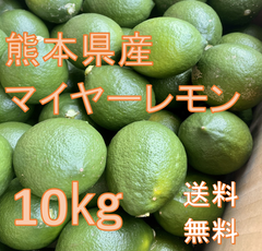 減農薬 熊本県産 マイヤーレモン 10㎏ 送料無料