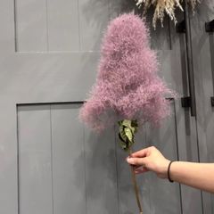 スモークツリー