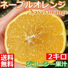 ネーブルオレンジ　2キロ　和歌山県産/訳あり品