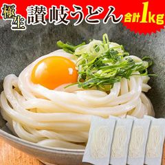 増量！【合計1kg  生麺 讃岐うどん 並切麺  つゆなしセット】 本場 香川直送  8～10人前  送料無料