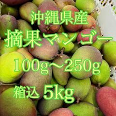 沖縄県産　摘果マンゴー　箱込5kg