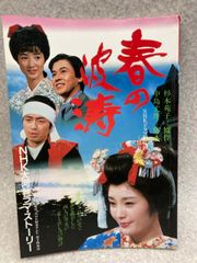 NHK大河ドラマストーリー　春の波涛　1985年　昭和60年　中村雅俊　松坂慶子　檀ふみ　