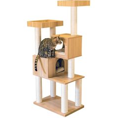 Item thumbnail for item 5aef673e-338a-490e-8322-4bc688bbecab