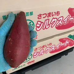 kana シルクスイート 15+5kg(箱込) S(約100g～200g) 048-silksweet5kgw01.jpg
